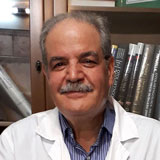 دکتر سید مجید جلالی