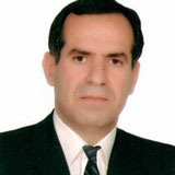 دکتر میرمسعود سعیدی